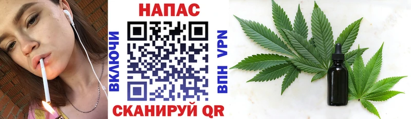 Конопля сатива продажа наркотиков Североуральск